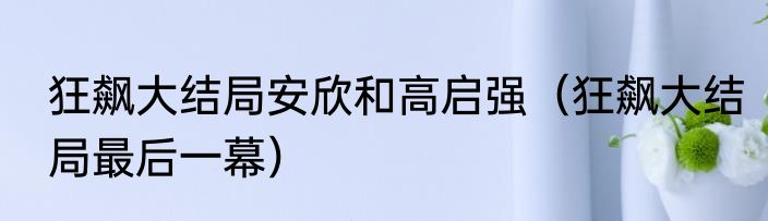 狂飙大结局安欣和高启强（狂飙大结局最后一幕）