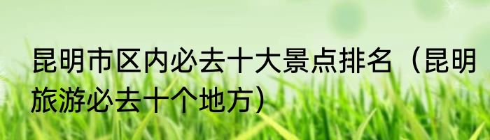 昆明市区内必去十大景点排名（昆明旅游必去十个地方）