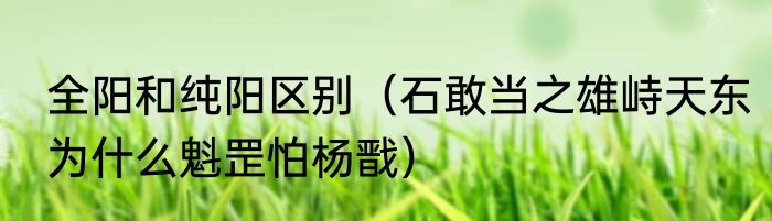全阳和纯阳区别（石敢当之雄峙天东为什么魁罡怕杨戬）