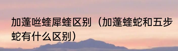 加蓬咝蝰犀蝰区别（加蓬蝰蛇和五步蛇有什么区别）