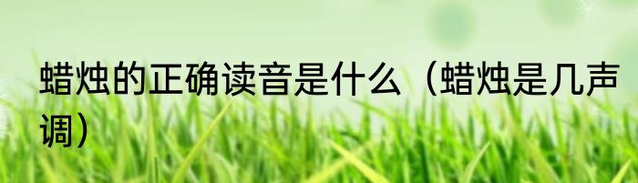 蜡烛的正确读音是什么（蜡烛是几声调）