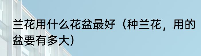 兰花用什么花盆最好（种兰花，用的盆要有多大）