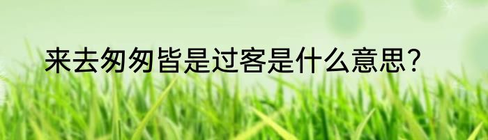 来去匆匆皆是过客是什么意思?