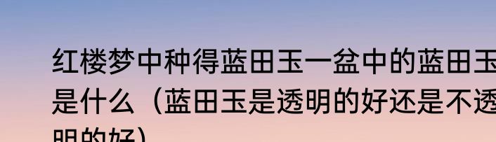 红楼梦中种得蓝田玉一盆中的蓝田玉是什么（蓝田玉是透明的好还是不透明的好）