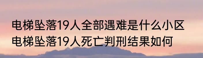 电梯坠落19人全部遇难是什么小区    电梯坠落19人死亡判刑结果如何