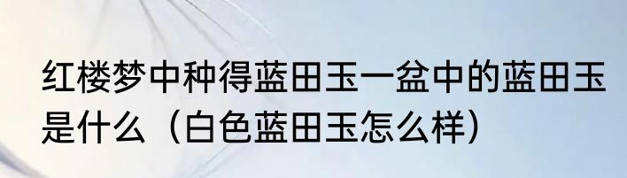 红楼梦中种得蓝田玉一盆中的蓝田玉是什么（白色蓝田玉怎么样）