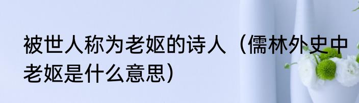 被世人称为老妪的诗人（儒林外史中老妪是什么意思）