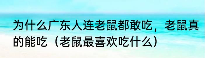 为什么广东人连老鼠都敢吃，老鼠真的能吃（老鼠最喜欢吃什么）