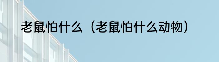 老鼠怕什么（老鼠怕什么动物）