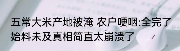 五常大米产地被淹 农户哽咽:全完了 始料未及真相简直太崩溃了