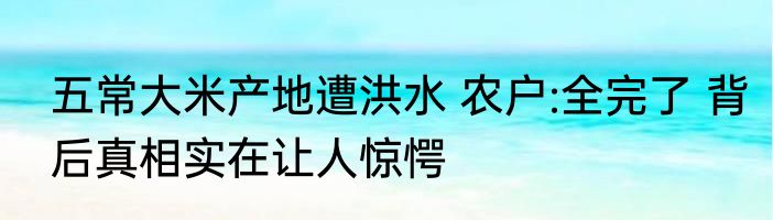 五常大米产地遭洪水 农户:全完了 背后真相实在让人惊愕