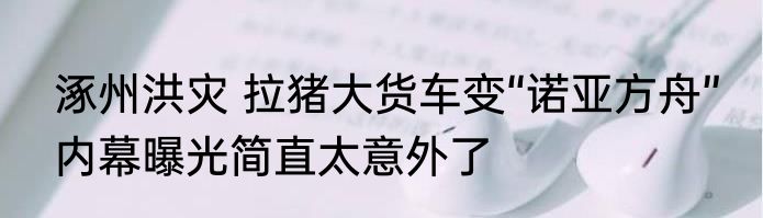 涿州洪灾 拉猪大货车变“诺亚方舟” 内幕曝光简直太意外了