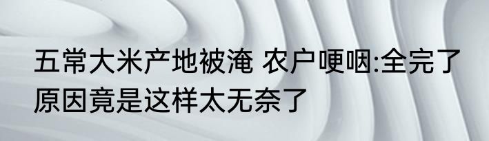 五常大米产地被淹 农户哽咽:全完了 原因竟是这样太无奈了