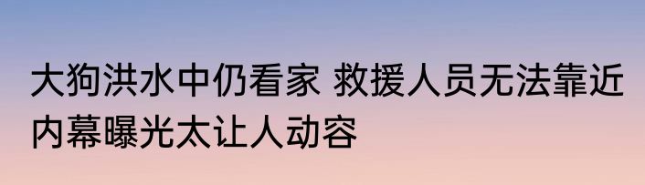 大狗洪水中仍看家 救援人员无法靠近 内幕曝光太让人动容