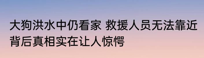 大狗洪水中仍看家 救援人员无法靠近 背后真相实在让人惊愕