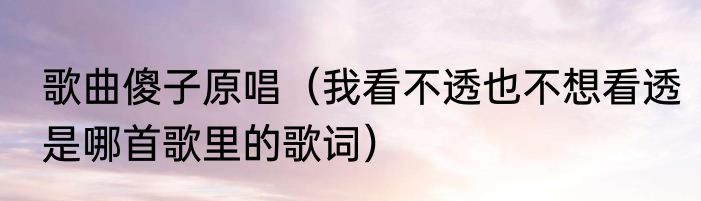 歌曲傻子原唱（我看不透也不想看透是哪首歌里的歌词）