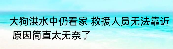 大狗洪水中仍看家 救援人员无法靠近 原因简直太无奈了