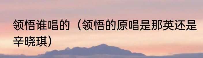 领悟谁唱的（领悟的原唱是那英还是辛晓琪）