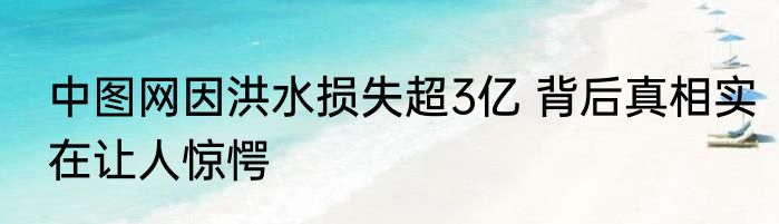 中图网因洪水损失超3亿 背后真相实在让人惊愕