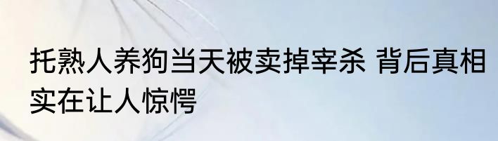托熟人养狗当天被卖掉宰杀 背后真相实在让人惊愕