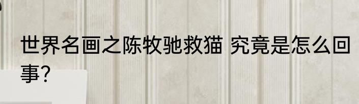 世界名画之陈牧驰救猫 究竟是怎么回事？