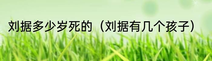 刘据多少岁死的（刘据有几个孩子）