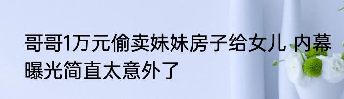 哥哥1万元偷卖妹妹房子给女儿 内幕曝光简直太意外了