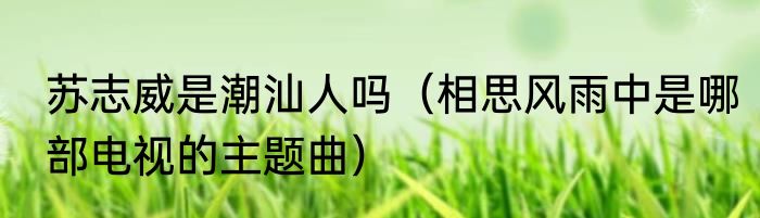 苏志威是潮汕人吗（相思风雨中是哪部电视的主题曲）