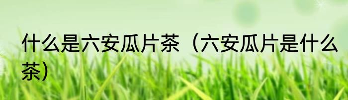 什么是六安瓜片茶（六安瓜片是什么茶）