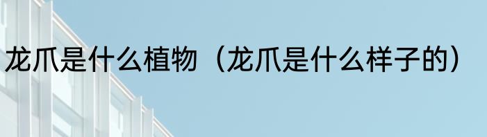 龙爪是什么植物（龙爪是什么样子的）