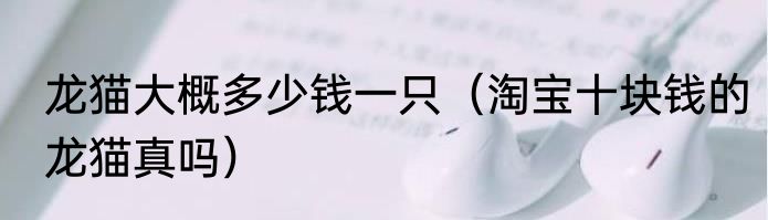 龙猫大概多少钱一只（淘宝十块钱的龙猫真吗）