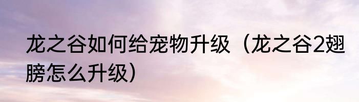 龙之谷如何给宠物升级（龙之谷2翅膀怎么升级）