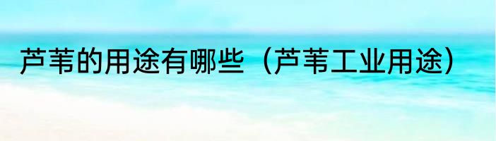 芦苇的用途有哪些（芦苇工业用途）