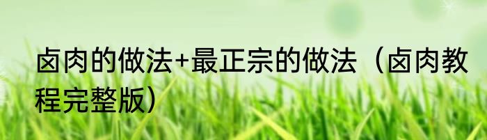 卤肉的做法+最正宗的做法（卤肉教程完整版）
