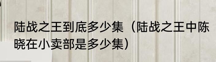 陆战之王到底多少集（陆战之王中陈晓在小卖部是多少集）