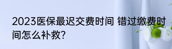2023医保最迟交费时间 错过缴费时间怎么补救？