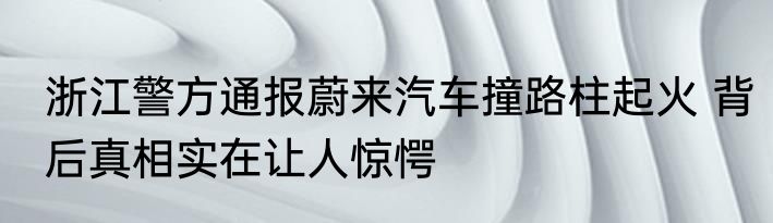 浙江警方通报蔚来汽车撞路柱起火 背后真相实在让人惊愕