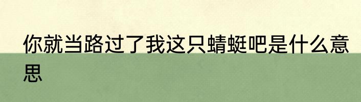你就当路过了我这只蜻蜓吧是什么意思