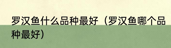罗汉鱼什么品种最好（罗汉鱼哪个品种最好）