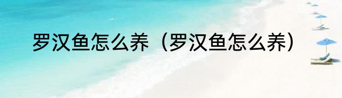 罗汉鱼怎么养（罗汉鱼怎么养）