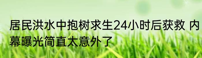 居民洪水中抱树求生24小时后获救 内幕曝光简直太意外了