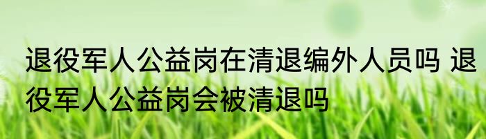 退役军人公益岗在清退编外人员吗 退役军人公益岗会被清退吗