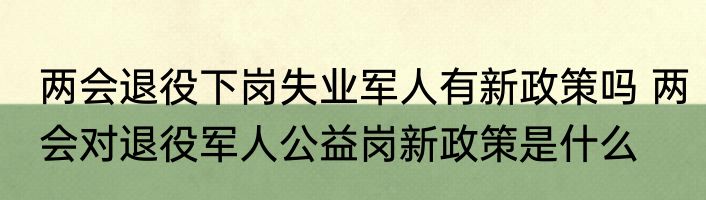 两会退役下岗失业军人有新政策吗 两会对退役军人公益岗新政策是什么