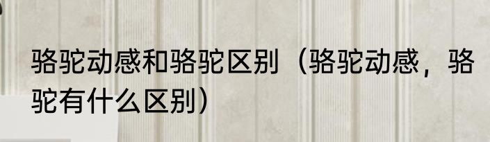 骆驼动感和骆驼区别（骆驼动感，骆驼有什么区别）