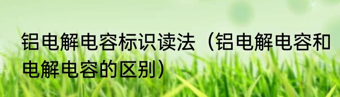 铝电解电容标识读法（铝电解电容和电解电容的区别）