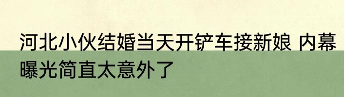 河北小伙结婚当天开铲车接新娘 内幕曝光简直太意外了