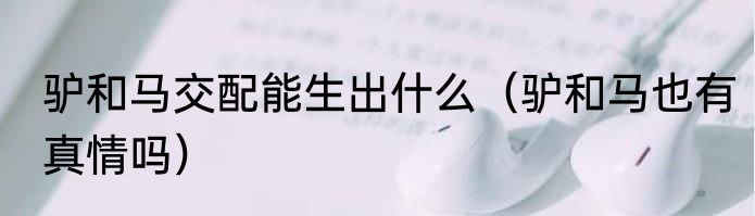 驴和马交配能生出什么（驴和马也有真情吗）