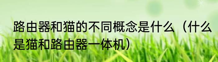 路由器和猫的不同概念是什么（什么是猫和路由器一体机）