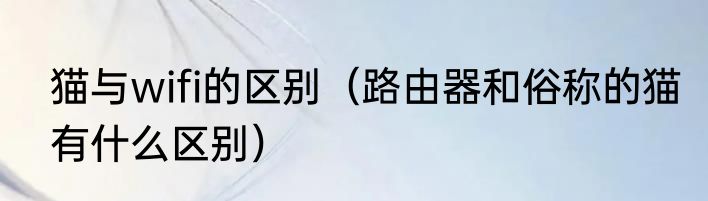 猫与wifi的区别（路由器和俗称的猫有什么区别）