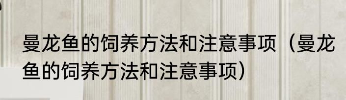 曼龙鱼的饲养方法和注意事项（曼龙鱼的饲养方法和注意事项）